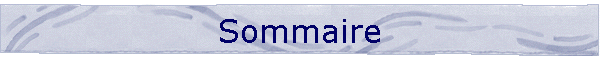Sommaire